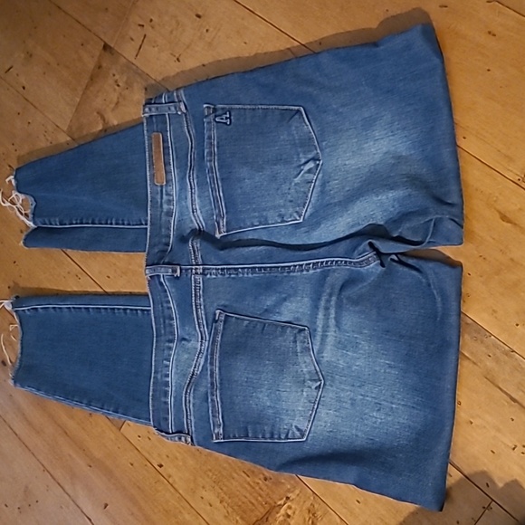 Articles of Society - Picture 4 of 8